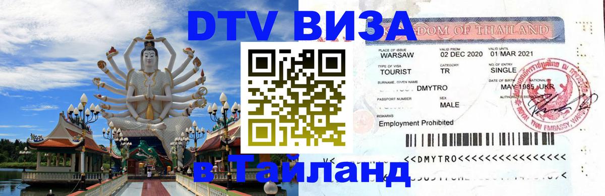 Сколько стоит DTV виза — актуальные цены, оформление даже без документов - 19.11.2025 
